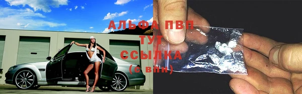 Альфа ПВП Беломорск