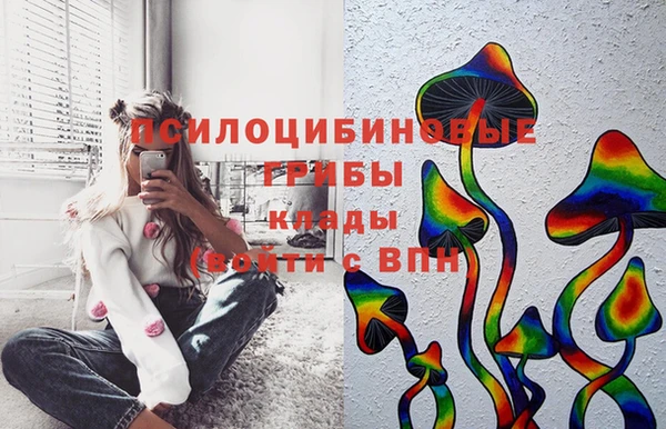 метамфетамин Белокуриха